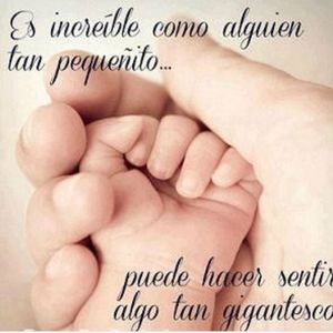 Meet your Posher, Judith